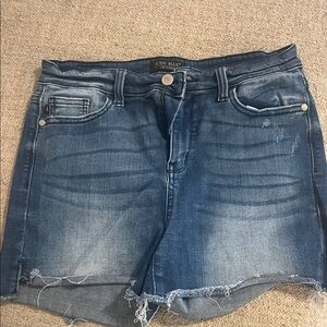 Judy Blue Blue Washed Frayed Hem Denim Shorts